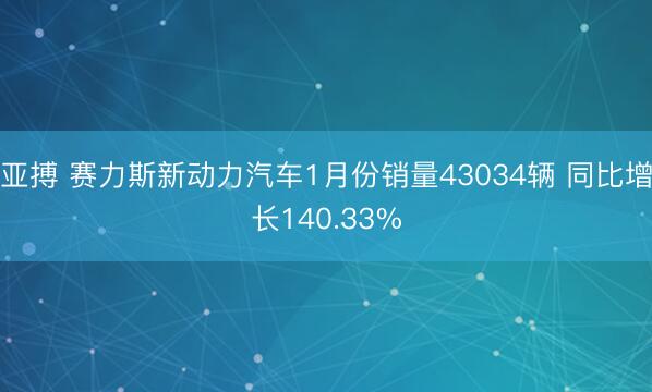 亞搏 賽力斯新動(dòng)力汽車1月份銷量43034輛 同比增長140.33%