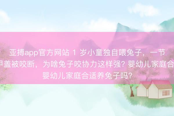 亞搏app官方網站 1 歲小童獨自喂兔子，一節食指帶著指甲蓋被咬斷，為啥兔子咬協力這樣強? 嬰幼兒家庭合適養兔子嗎?