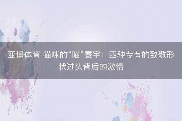 亞博體育 貓咪的“喵”寰宇：四種專有的致敬形狀過頭背后的激情