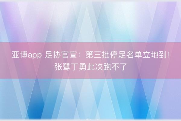 亞博app 足協官宣：第三批停足名單立地到！張鷺丁勇此次跑不了